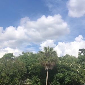 Meet your Posher, Nicolette